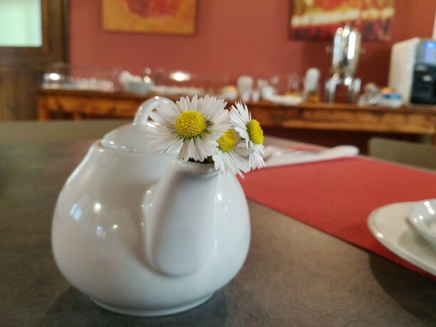 Imagen general del Agriturismo Ai Due Leoni. Foto 3