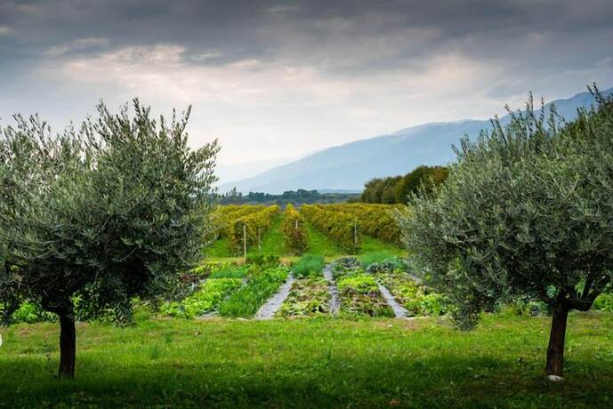 Imagen general del Agriturismo Al Luogo del Giulio. Foto 9