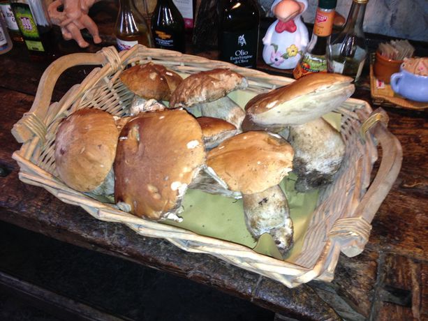 Imagen de los exteriores del Agriturismo Al Marnich. Foto 14