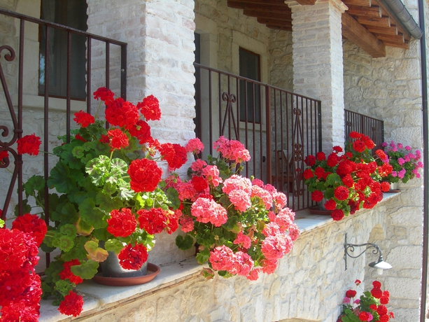 Imagen de la habitación del Agriturismo Borgo San Martino. Foto 3