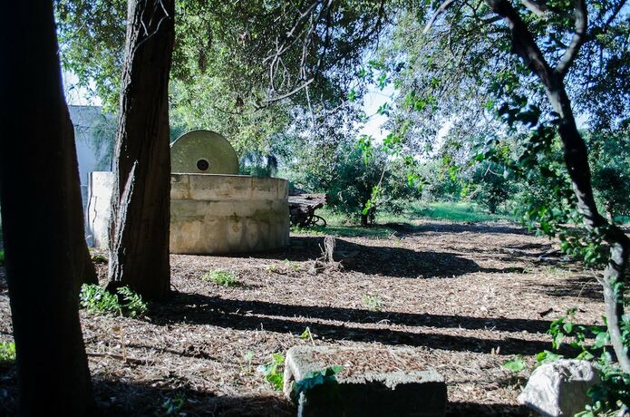 Imagen general del Agriturismo Capani. Foto 15