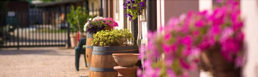 Imagen de los exteriores del Agriturismo Casa Rosa. Foto 16