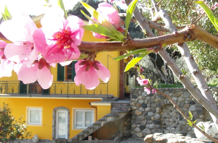 Imagen de los exteriores del Agriturismo Costa Di Campo. Foto 13