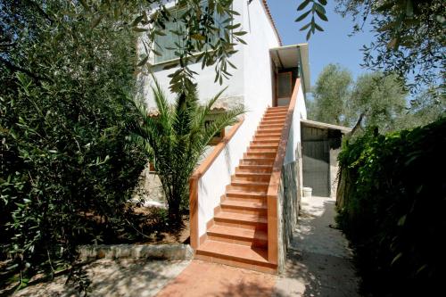 Imagen de la habitación del Agriturismo Da Mauro. Foto 5