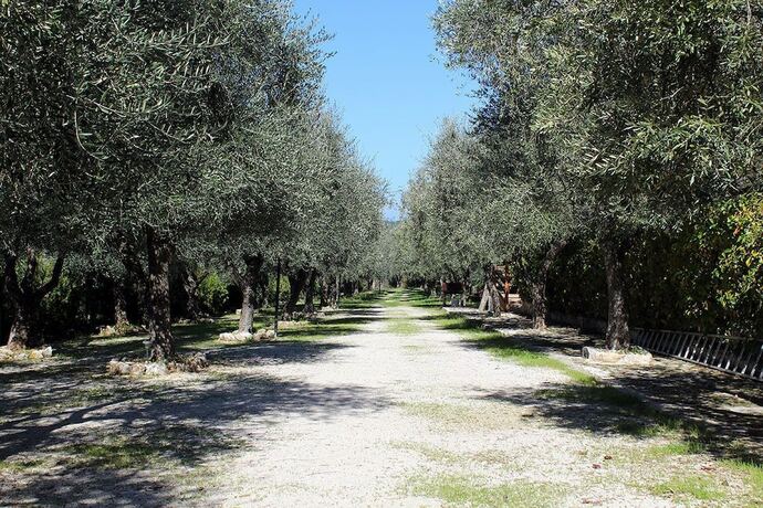 Imagen general del Agriturismo Fara Del Falco. Foto 6