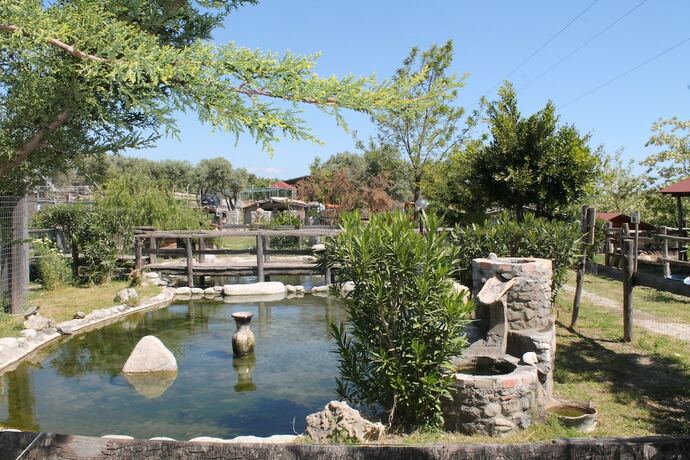 Imagen general del Agriturismo Fassi. Foto 15