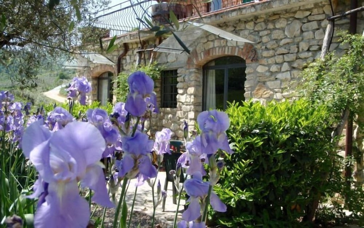 Imagen de la habitación del Agriturismo Fattoria di Castiglionchio. Foto 13