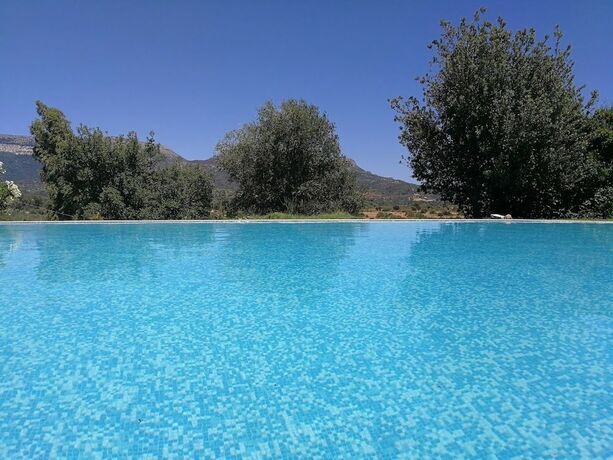 Imagen general del Agriturismo I Mandorli. Foto 11