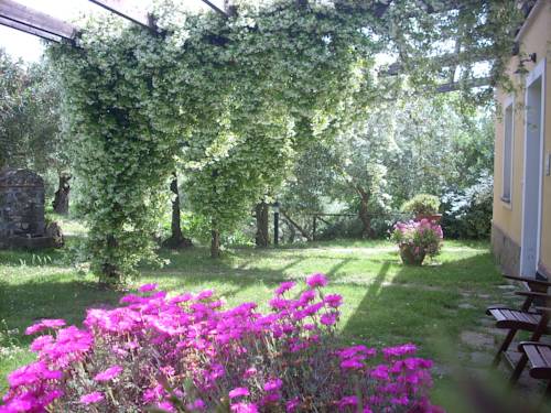 Imagen de la habitación del Agriturismo I Moresani. Foto 6