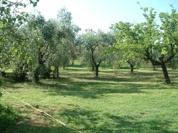 Imagen de los exteriores del Agriturismo Il Capannaccio. Foto 14
