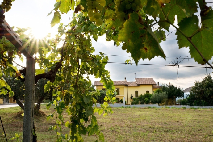 Imagen de los exteriores del Agriturismo Il Casolare Di Nonno Mario. Foto 14