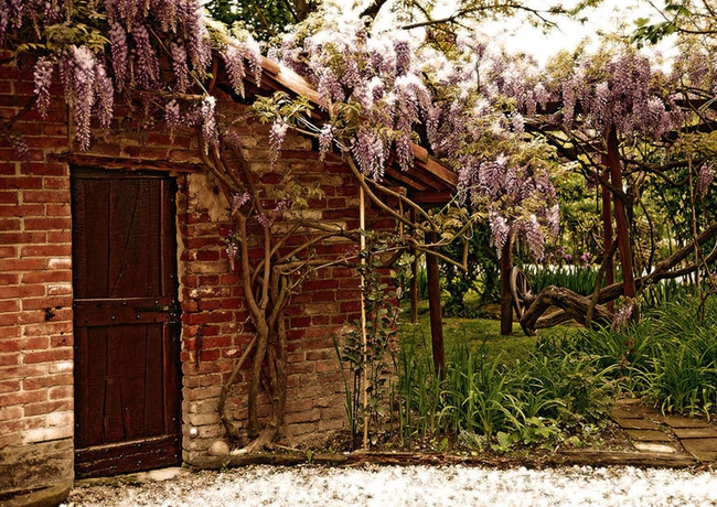 Imagen de los exteriores del Agriturismo Il Gioco Dell'oca. Foto 7