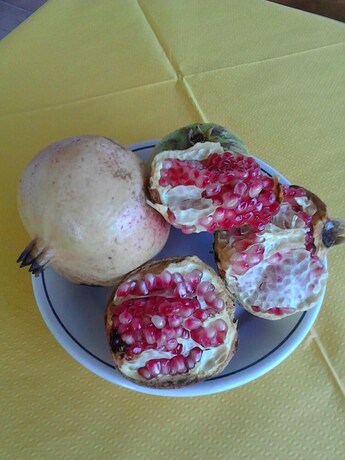 Imagen del bar/restaurante del Agriturismo Il Maresciallo. Foto 21