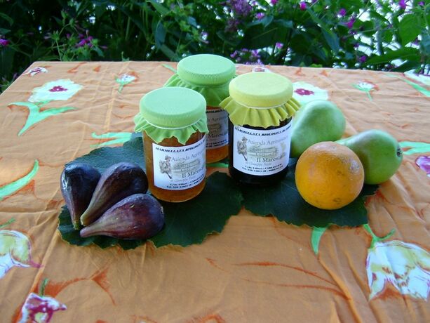 Imagen general del Agriturismo Il Maresciallo. Foto 10