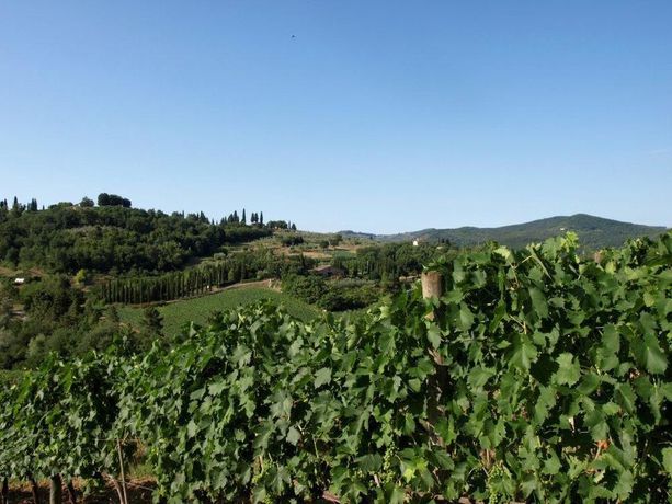 Imagen general del Agriturismo La Camporena. Foto 3