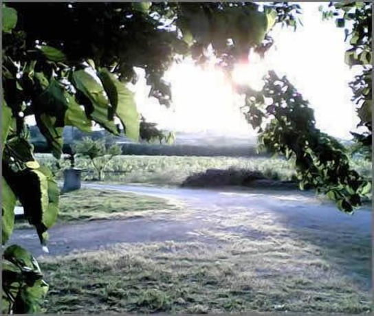 Imagen de los exteriores del Agriturismo La Natura. Foto 6