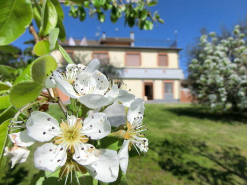 Imagen de la habitación del Agriturismo La Pietriccia. Foto 10