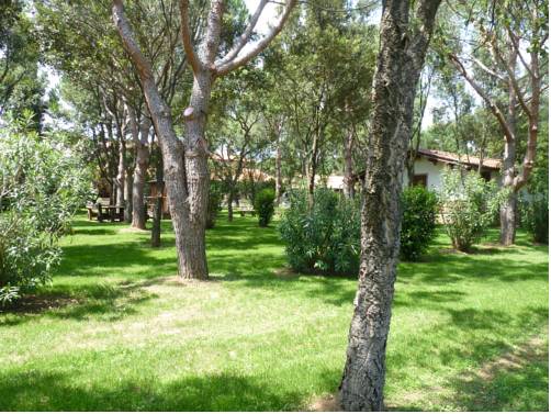 Imagen de la habitación del Agriturismo La Rombaia, Castiglione della Pescaia. Foto 6