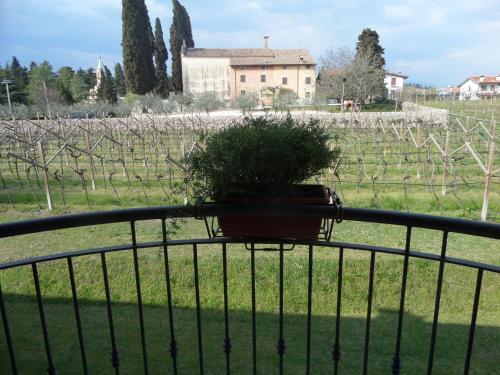 Imagen general del Agriturismo La Vigna. Foto 3