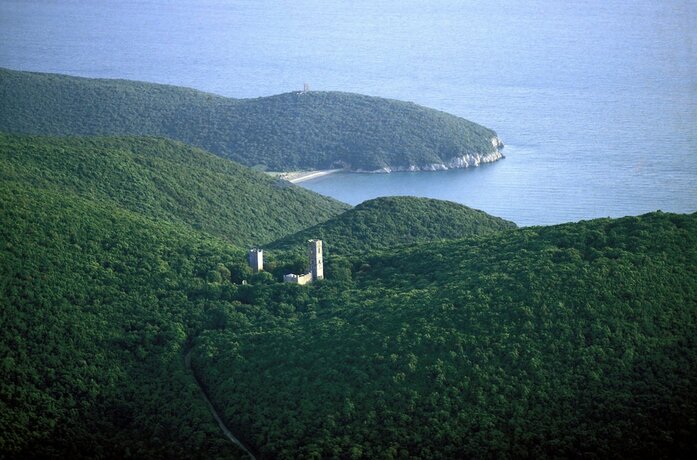 Imagen general del Agriturismo La pulledraia. Foto 10