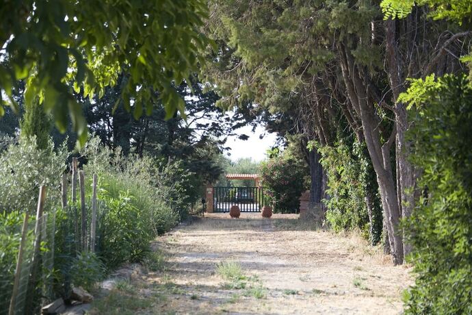 Imagen general del Agriturismo La pulledraia. Foto 11