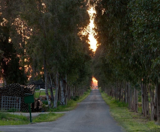Imagen de los interiores del Agriturismo Magnaboschi. Foto 16