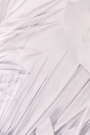 Imagen de la habitación del Agriturismo Maria Vittoria. Foto 20