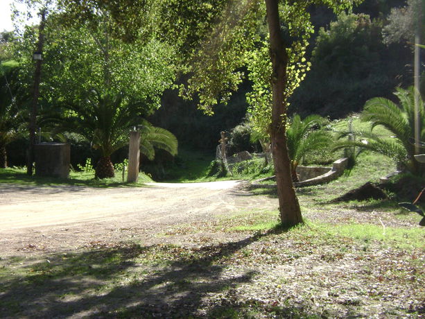 Imagen de los exteriores del Agriturismo Monte Alto. Foto 13