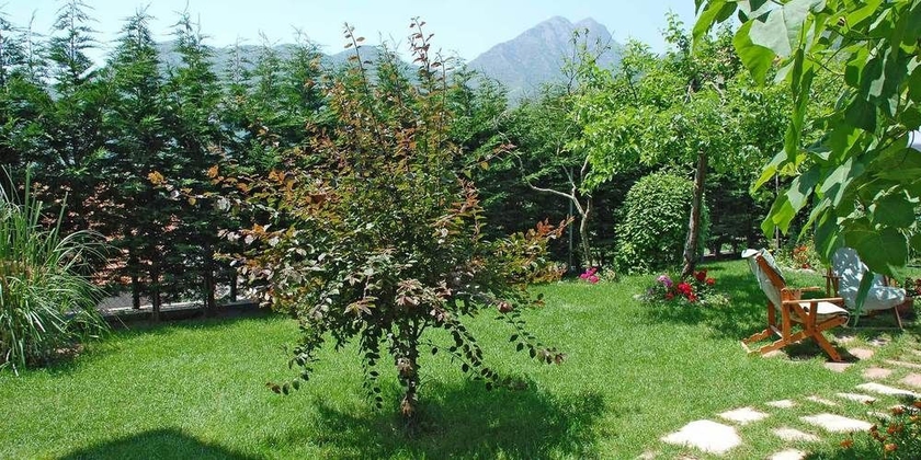 Imagen general del Agriturismo Nonno Tobia. Foto 2