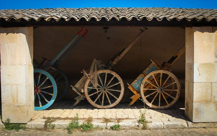 Imagen general del Agriturismo Pantanosecco. Foto 18