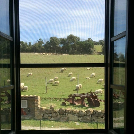 Imagen de la habitación del Agriturismo Pian dei Lupi. Foto 14