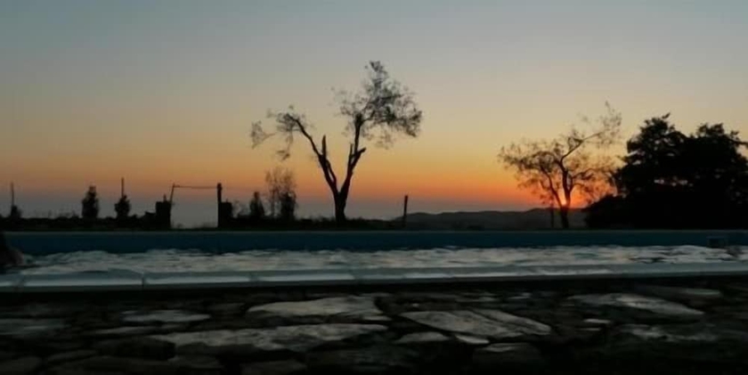 Imagen de la piscina del Agriturismo Pian dei Lupi. Foto 19
