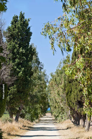 Imagen de la habitación del Agriturismo Podere Giulio. Foto 5