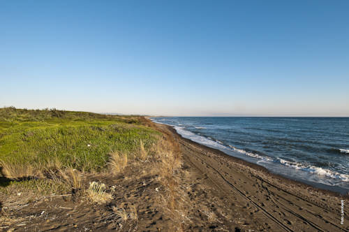 Imagen de la habitación del Agriturismo Podere Giulio. Foto 7