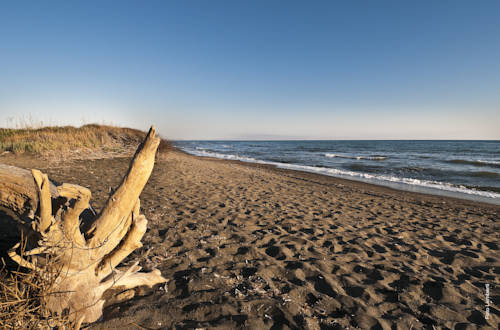 Imagen de la habitación del Agriturismo Podere Giulio. Foto 8
