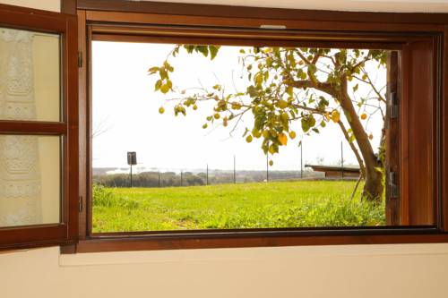 Imagen de la habitación del Agriturismo San Gregorio. Foto 2
