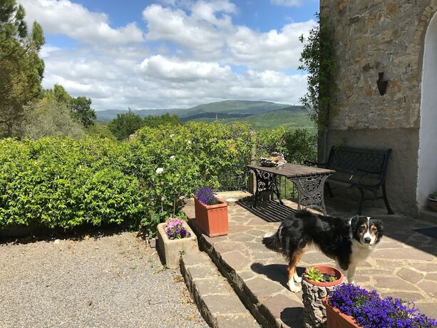 Imagen general del Agriturismo San Ottaviano. Foto 7