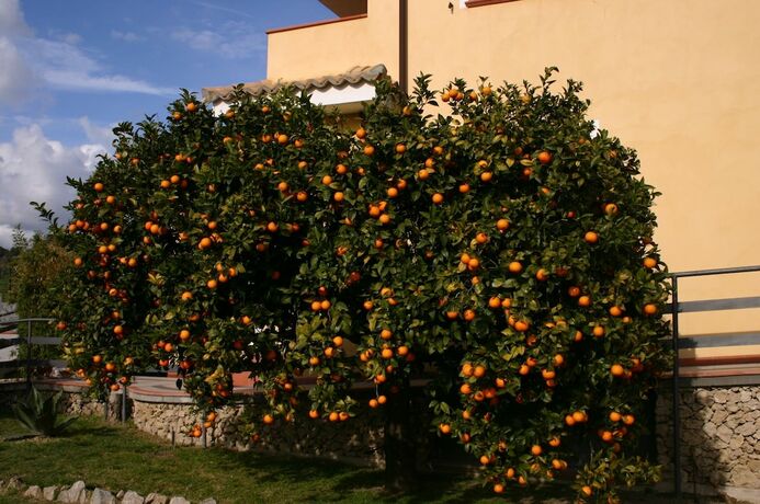 Imagen general del Agriturismo Simonello. Foto 13