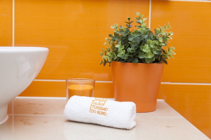 Imagen de la habitación del Agro-turismo Do Roxo. Foto 8