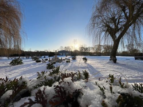 Imagen general del Agroturystyka Hotel Noclegi Pałac Camping. Foto 2