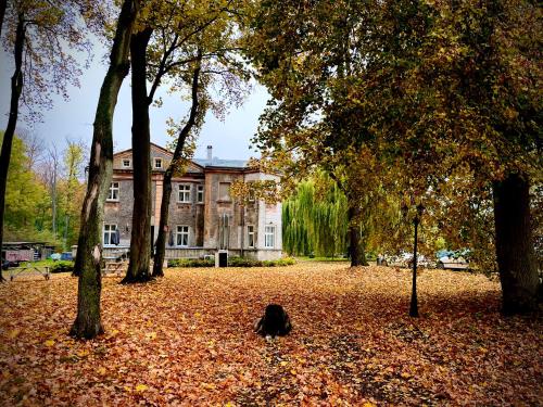 Imagen general del Agroturystyka Hotel Noclegi Pałac Camping. Foto 7