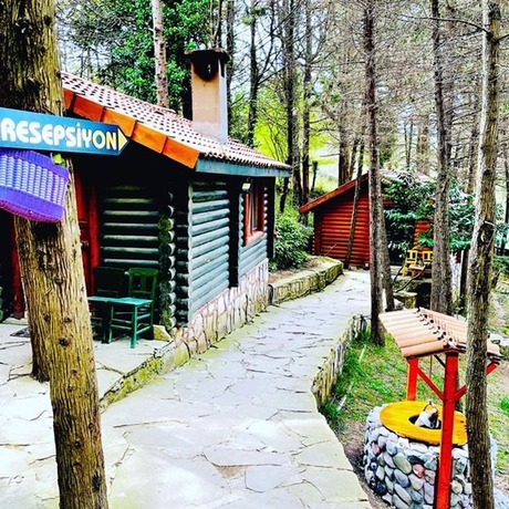 Imagen de la habitación del Agva Orman Evleri Forest Lodge. Foto 17