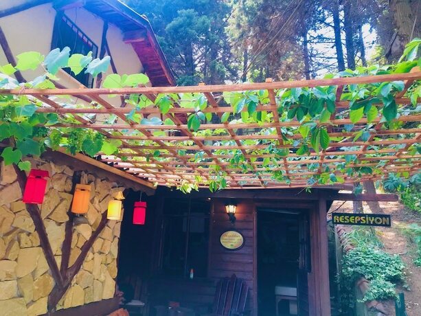 Imagen general del Agva Orman Evleri Forest Lodge. Foto 14