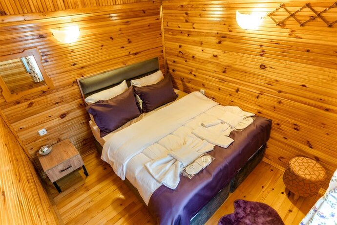 Imagen de la habitación del Agva Shelale Otel. Foto 17