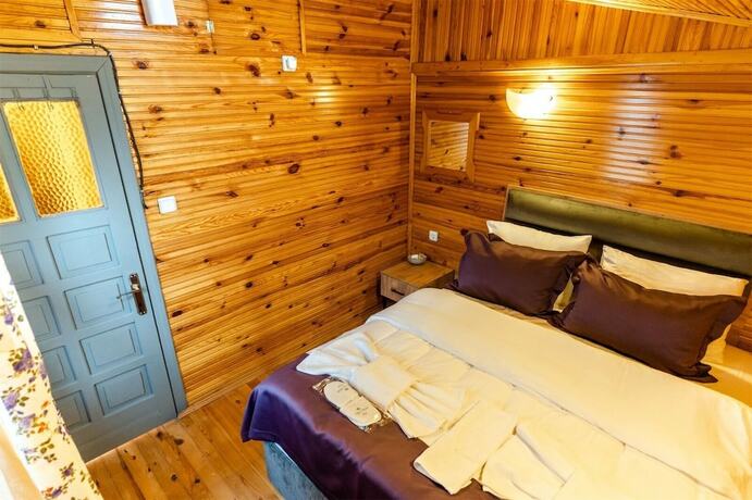 Imagen de la habitación del Agva Shelale Otel. Foto 20