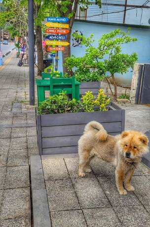 Imagen general del Agva Sunset Hotel. Foto 6