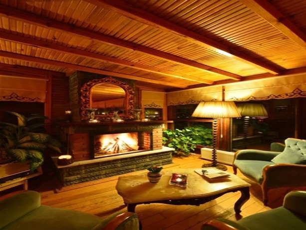 Imagen de los interiores del Agva Tree Tops Park Hotel. Foto 13
