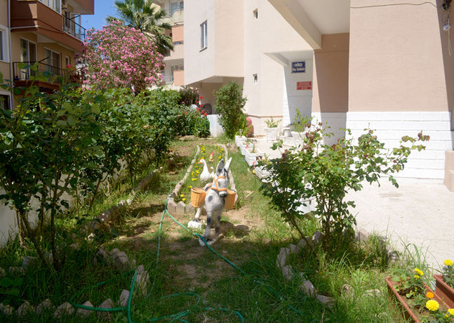 Imagen de los exteriores del Ahmeda Apart Hotel. Foto 12