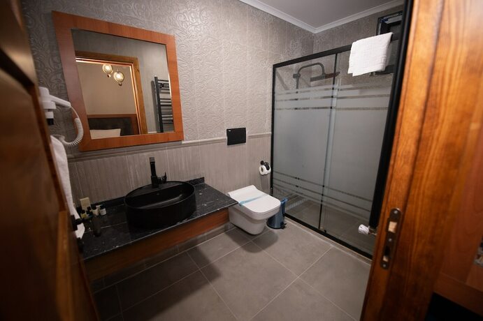 Imagen general del Ahıska Palas. Foto 3