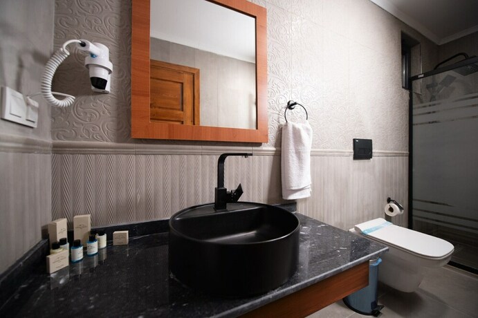 Imagen general del Ahıska Palas. Foto 11